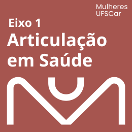 EIXO 1 V.png