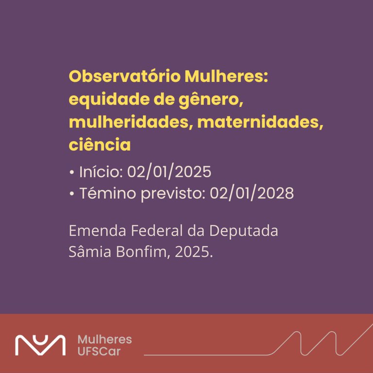 equidade de genero etc.jpeg