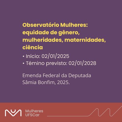 equidade de genero etc.jpeg